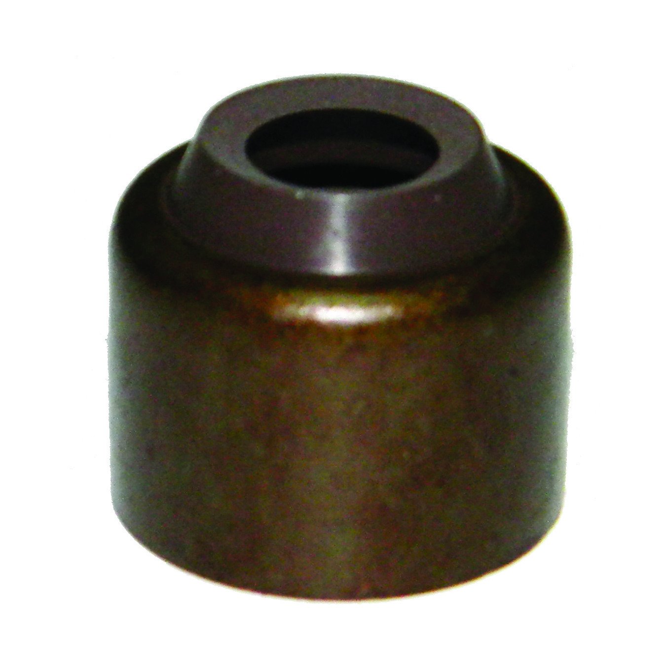 Valve Stem Seal for Mack MP, Renault DXi, Volvo D11/D12/D13 - Replaces ...